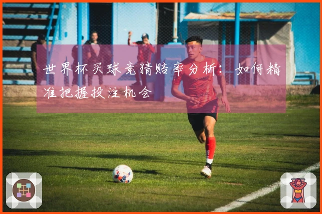 世界杯买球竞猜赔率分析：如何精准把握投注机会
