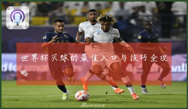 世界杯买球的最佳入口与技巧全攻略