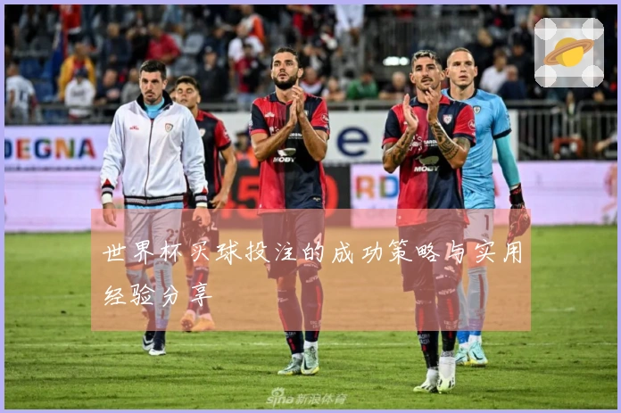 世界杯买球投注的成功策略与实用经验分享