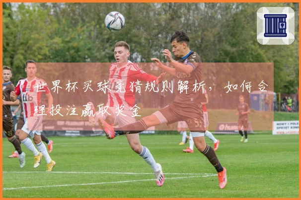 世界杯买球竞猜规则解析，如何合理投注赢取奖金
