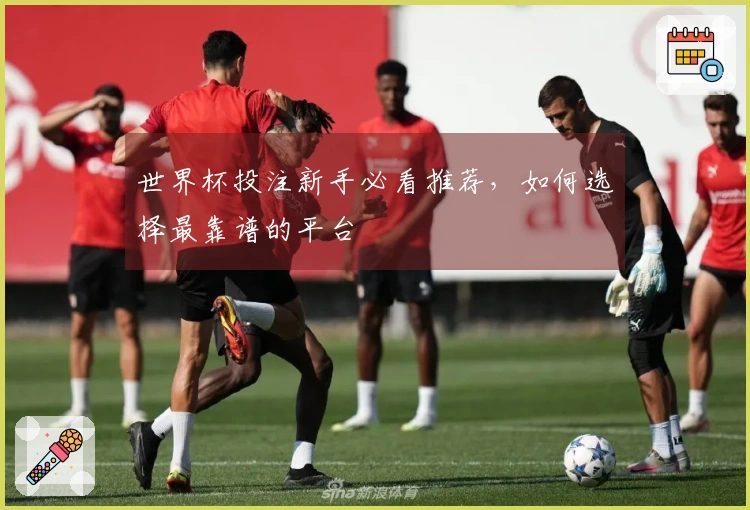 世界杯投注新手必看推荐，如何选择最靠谱的平台