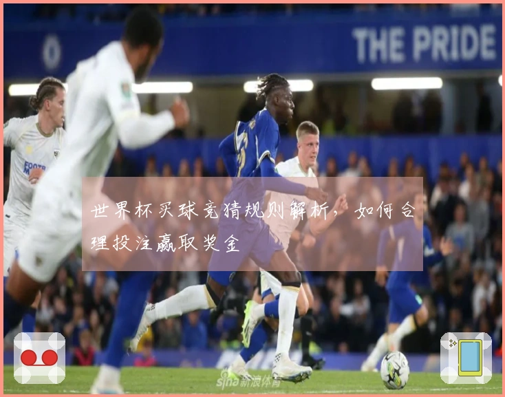 世界杯买球竞猜规则解析，如何合理投注赢取奖金