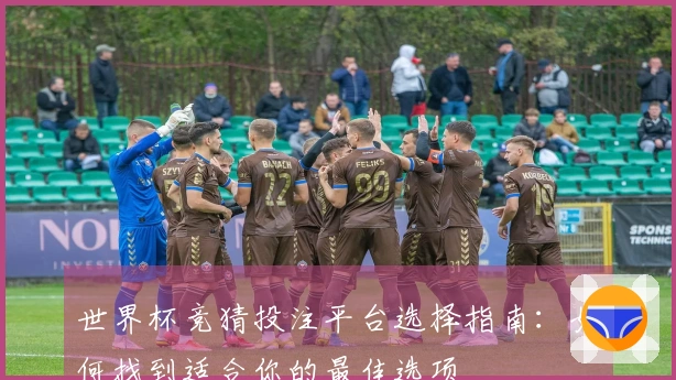 世界杯竞猜投注平台选择指南：如何找到适合你的最佳选项