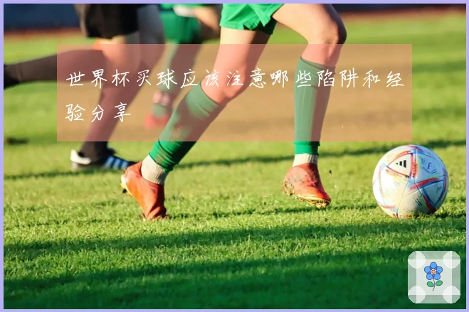 世界杯买球应该注意哪些陷阱和经验分享