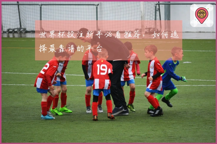 世界杯投注新手必看推荐，如何选择最靠谱的平台