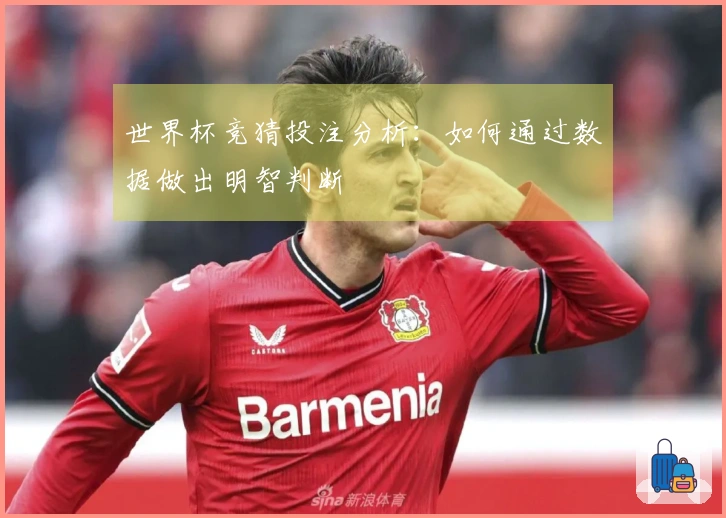 世界杯竞猜投注分析：如何通过数据做出明智判断