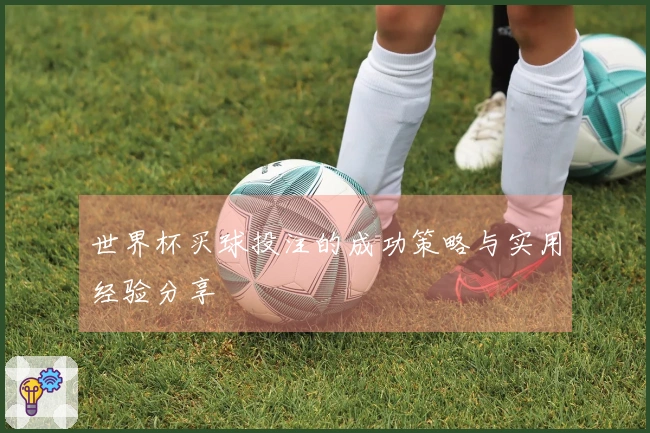 世界杯买球投注的成功策略与实用经验分享