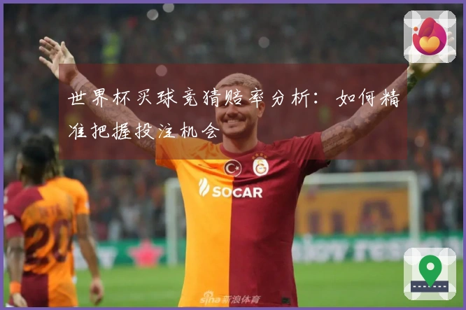世界杯买球竞猜赔率分析：如何精准把握投注机会